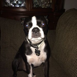 Meet your Posher, Hiram